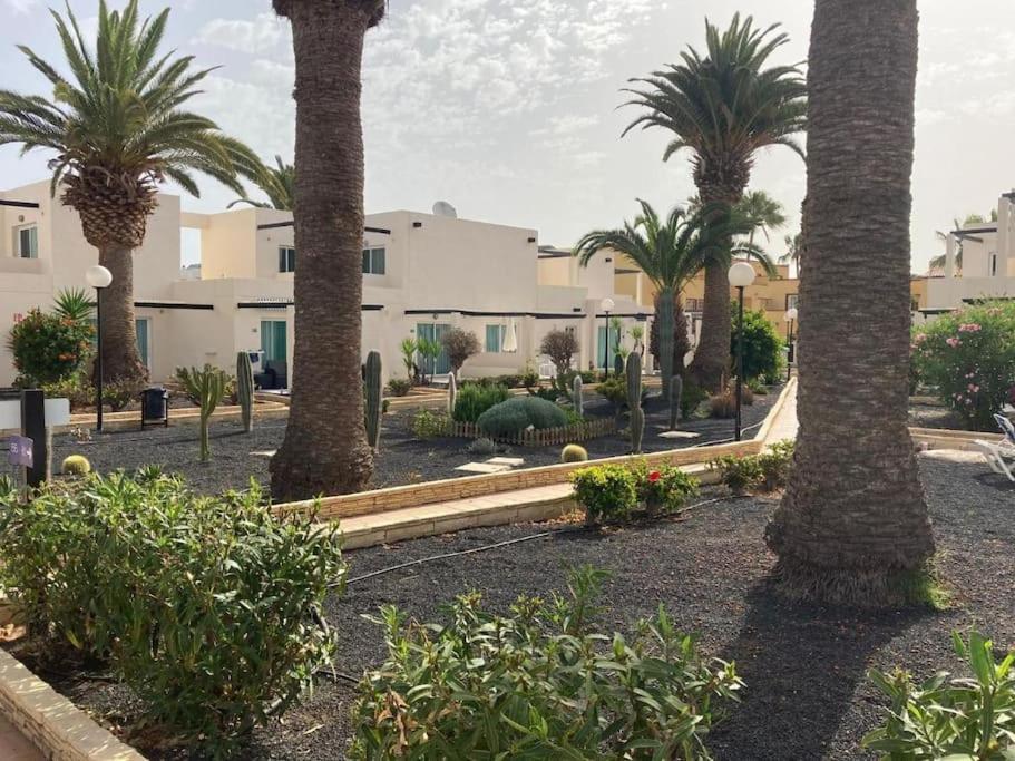 Corralejo Suite Pool & Gardens - Alisios Playa Bagian luar foto