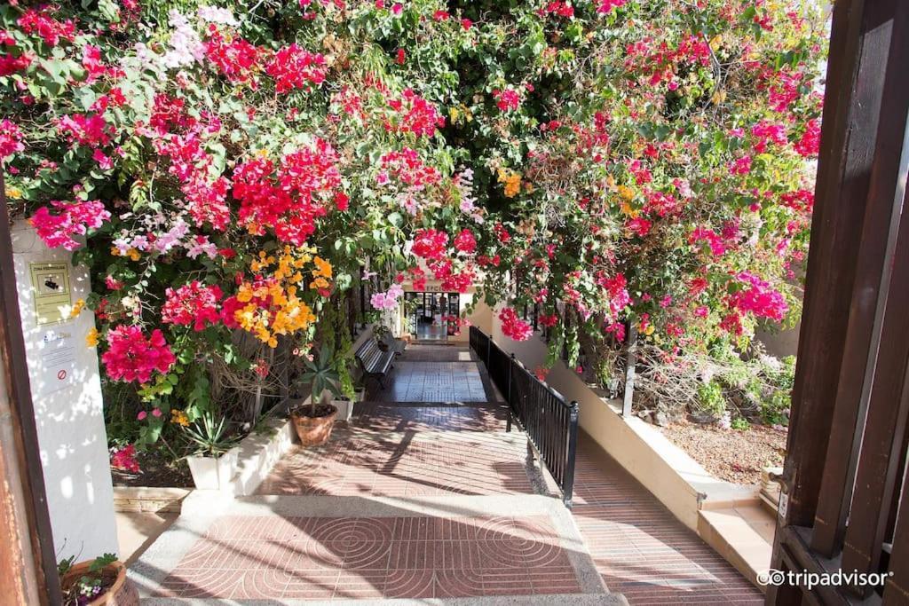 Corralejo Suite Pool & Gardens - Alisios Playa Bagian luar foto